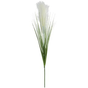 Cream Pampas stem