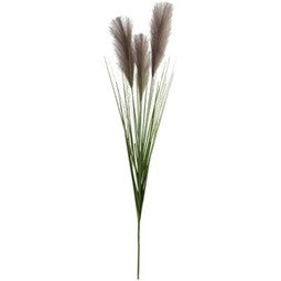 Charcoal pampas stem