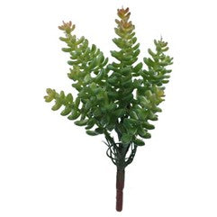 Succulent Pearl