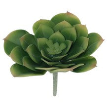 Desert Rose- Green