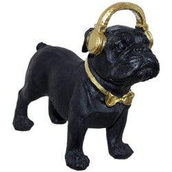Boerbul with earphones