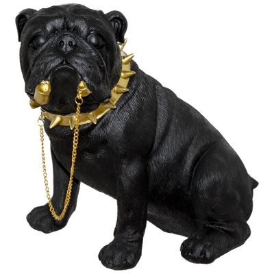 Gold chained Boerbul