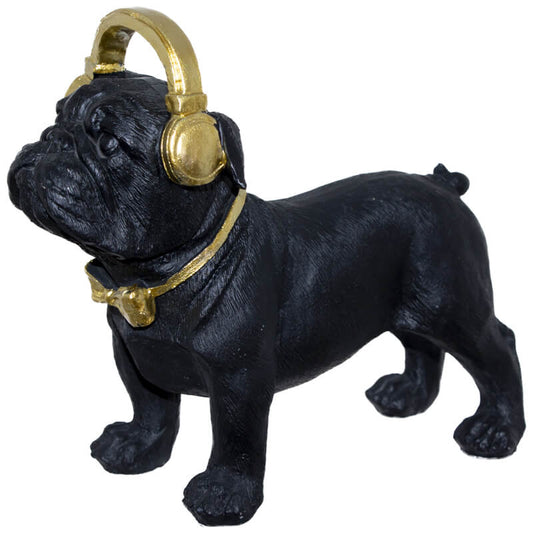 Boerbul with headphones